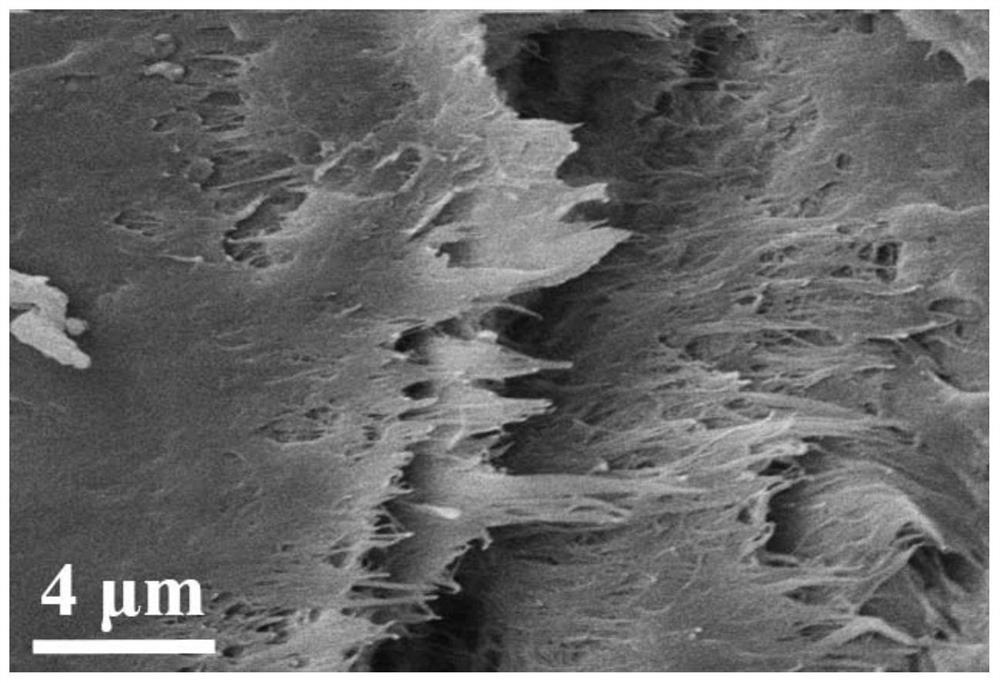 Nano-cellulose fibril /PBAT film and preparation method and application thereof