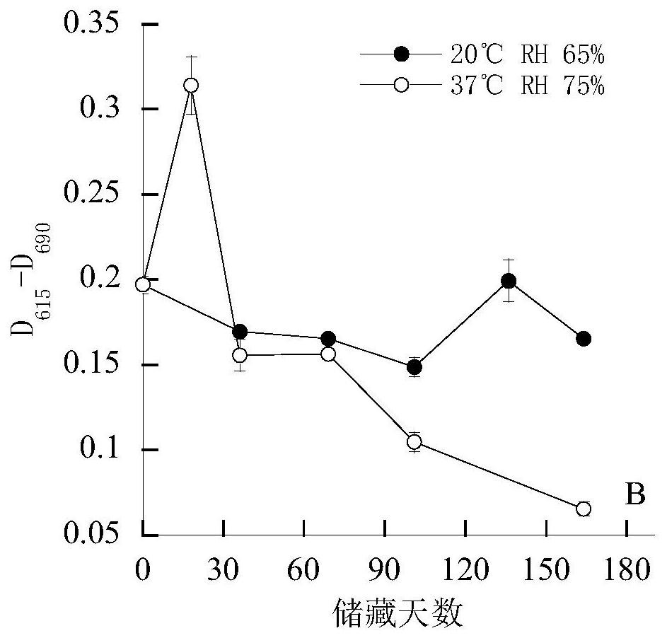 A method for detecting the freshness of rice