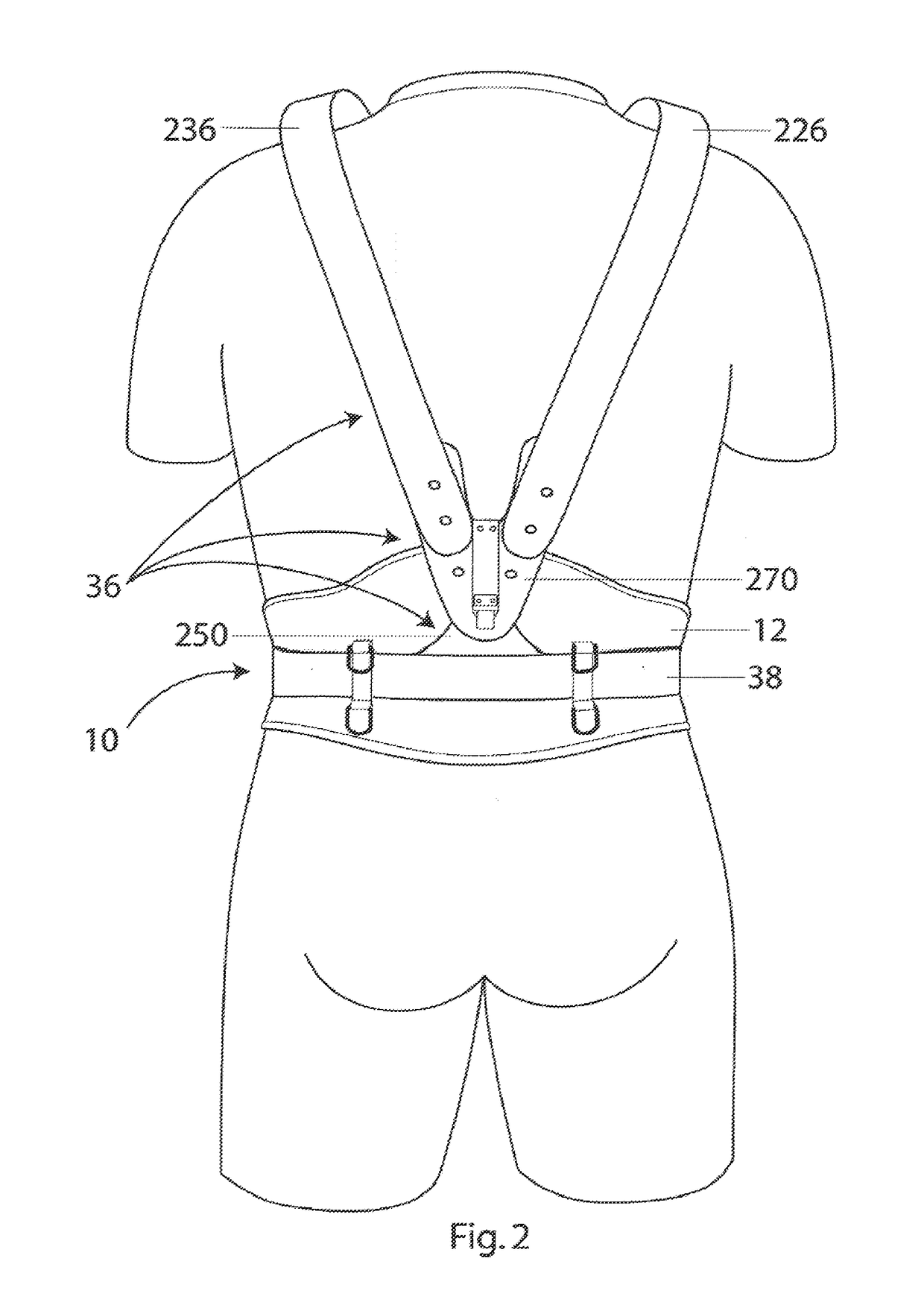 Lower back support system