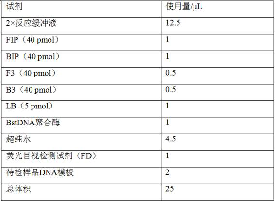 Duck adenovirus type 2 loop-mediated isothermal amplification detection primer set and kit