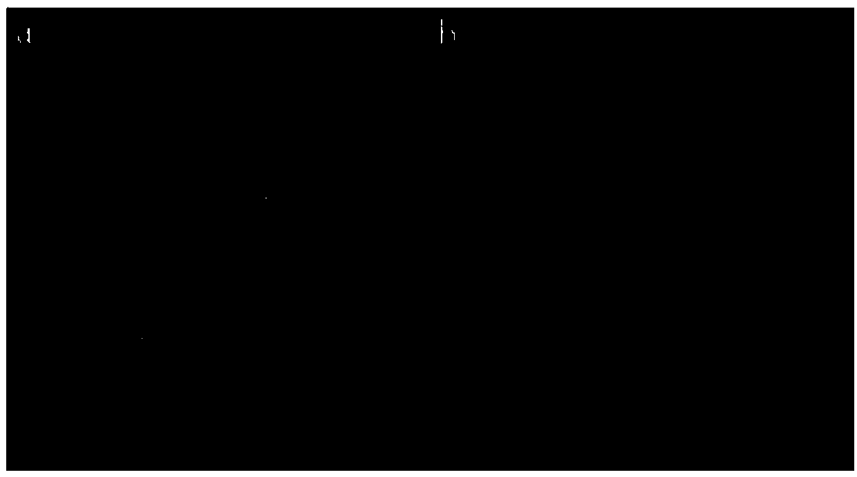 Method for obtaining eremochloa ophiuroide mutant