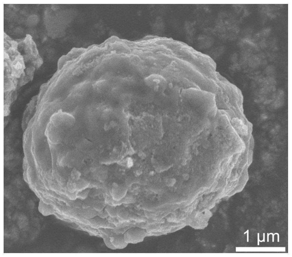 Nickel disulfide material with hollow micro-nano structure, preparation method of nickel disulfide material, aluminum ion battery positive electrode and aluminum ion battery