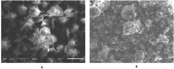 A kind of poly-ortho-hydroxyphenol antibacterial material and preparation method thereof