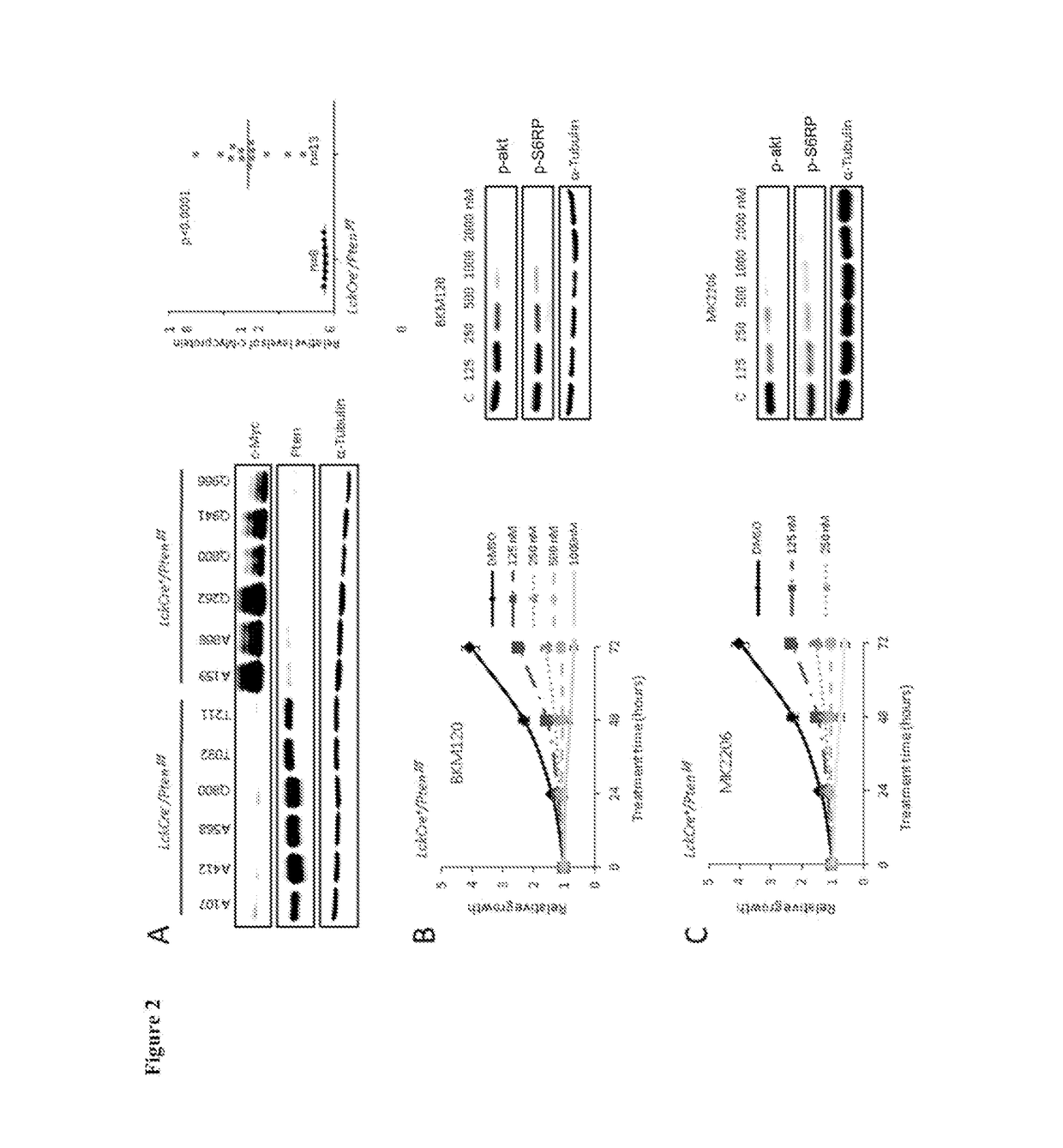 P13k-mtorc1-s6k1 signaling pathway biomarkers predictive of Anti-cancer responses