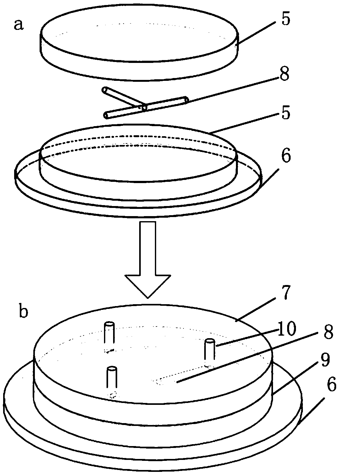 A PDMS microfluidic chip structure and preparation method thereof