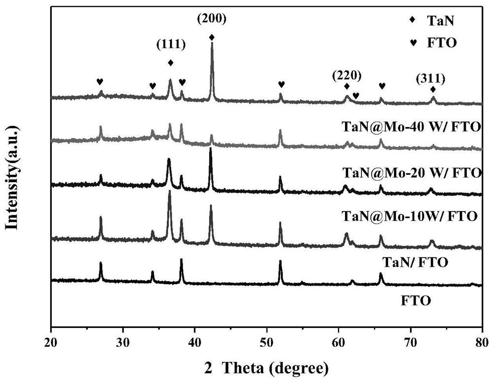Preparation method of photocatalytic film based on Mo-doped TaN as well as product and application of photocatalytic film based on Mo-doped TaN