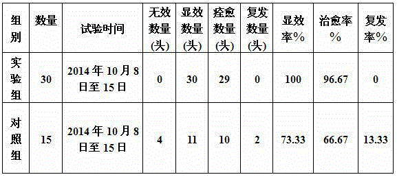 Traditional Chinese medicine composition for treating rumen air blowing of cattle, and preparation method of composition