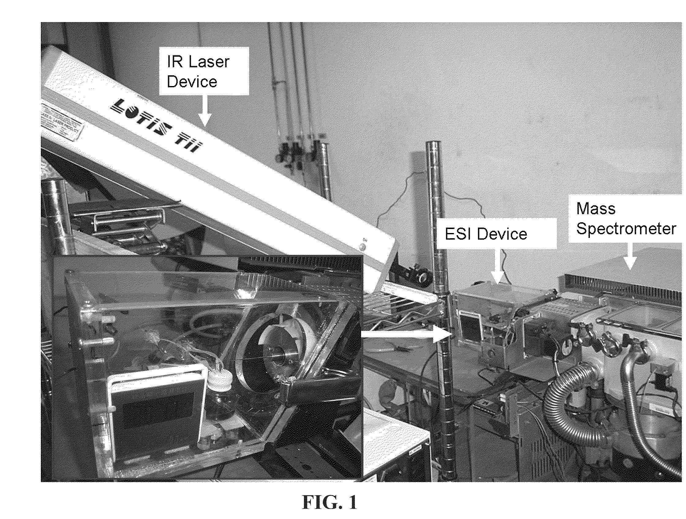 Method for continuously monitoring solution-phase synthesis of oligonucleotide