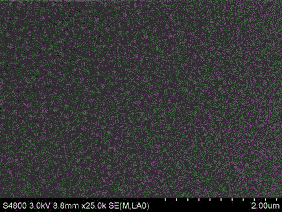 Preparation method of hydrophilic latex-agglomerated anion chromatographic packing