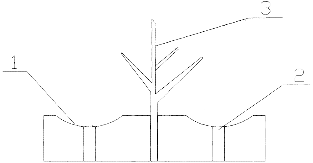 Method for storing fertilizer and water in holes by film coverage