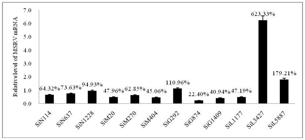 A shrna that inhibits the replication of largemouth bass rhabdovirus and its application