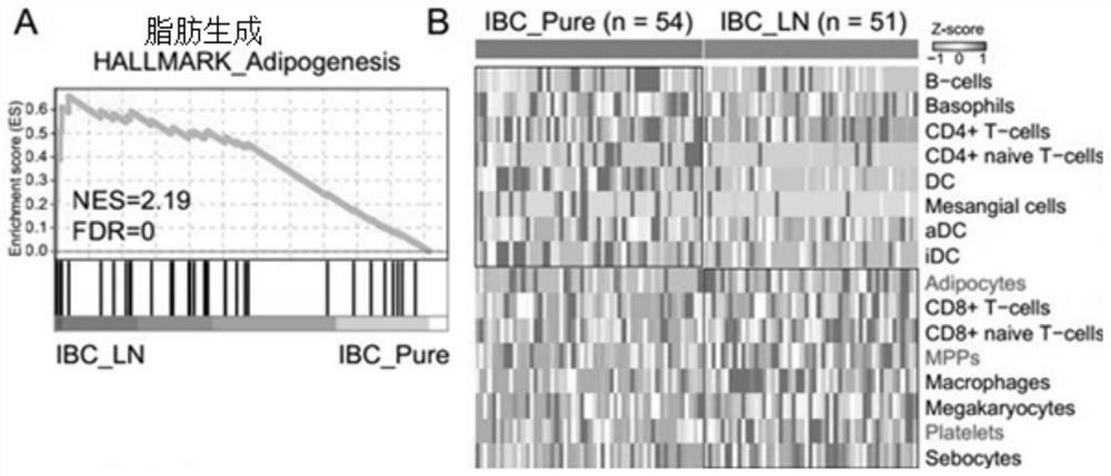 Exosome markers for diagnosing lymph node metastasis of invasive breast cancer and application of exosome markers