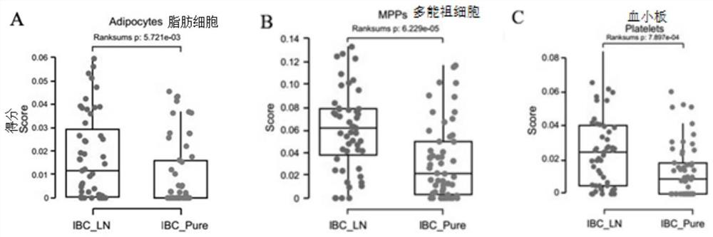 Exosome markers for diagnosing lymph node metastasis of invasive breast cancer and application of exosome markers