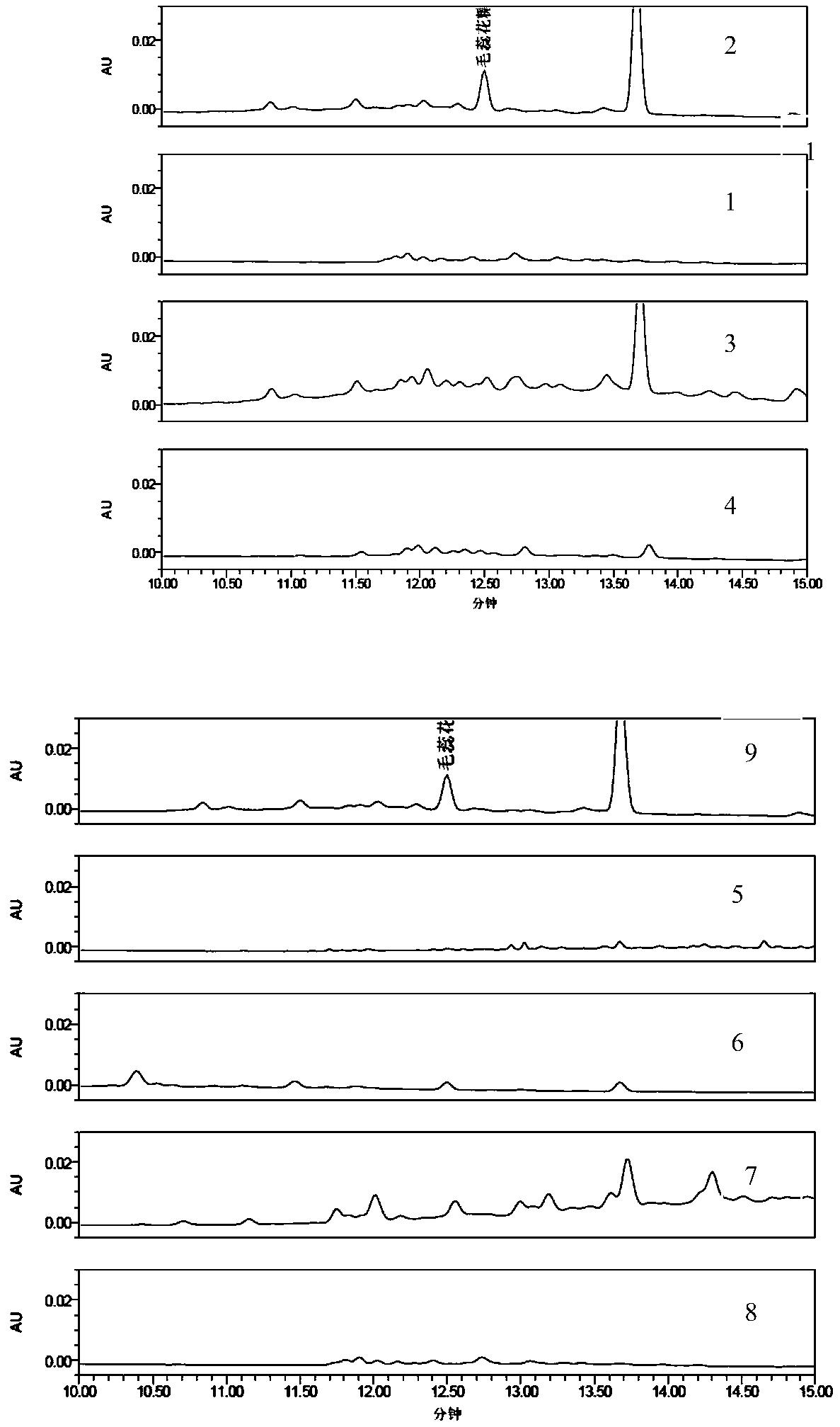 Method for determining verbascoside in blood-nourishing and brain-refreshing water extract