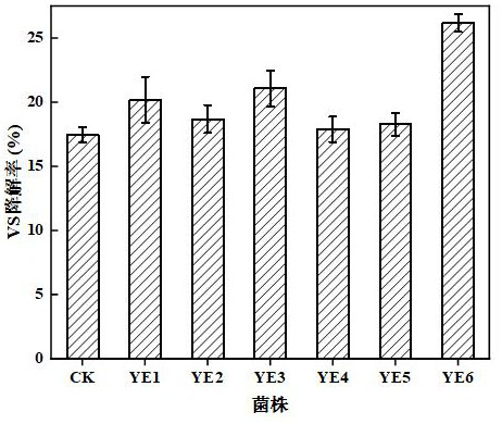 Anaerobic river sediment degrading strain and application thereof