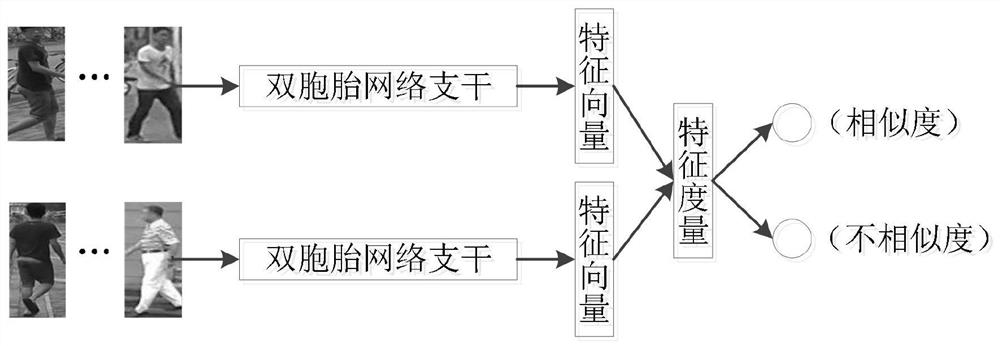 A method and system for pedestrian re-identification based on depth conditional random field