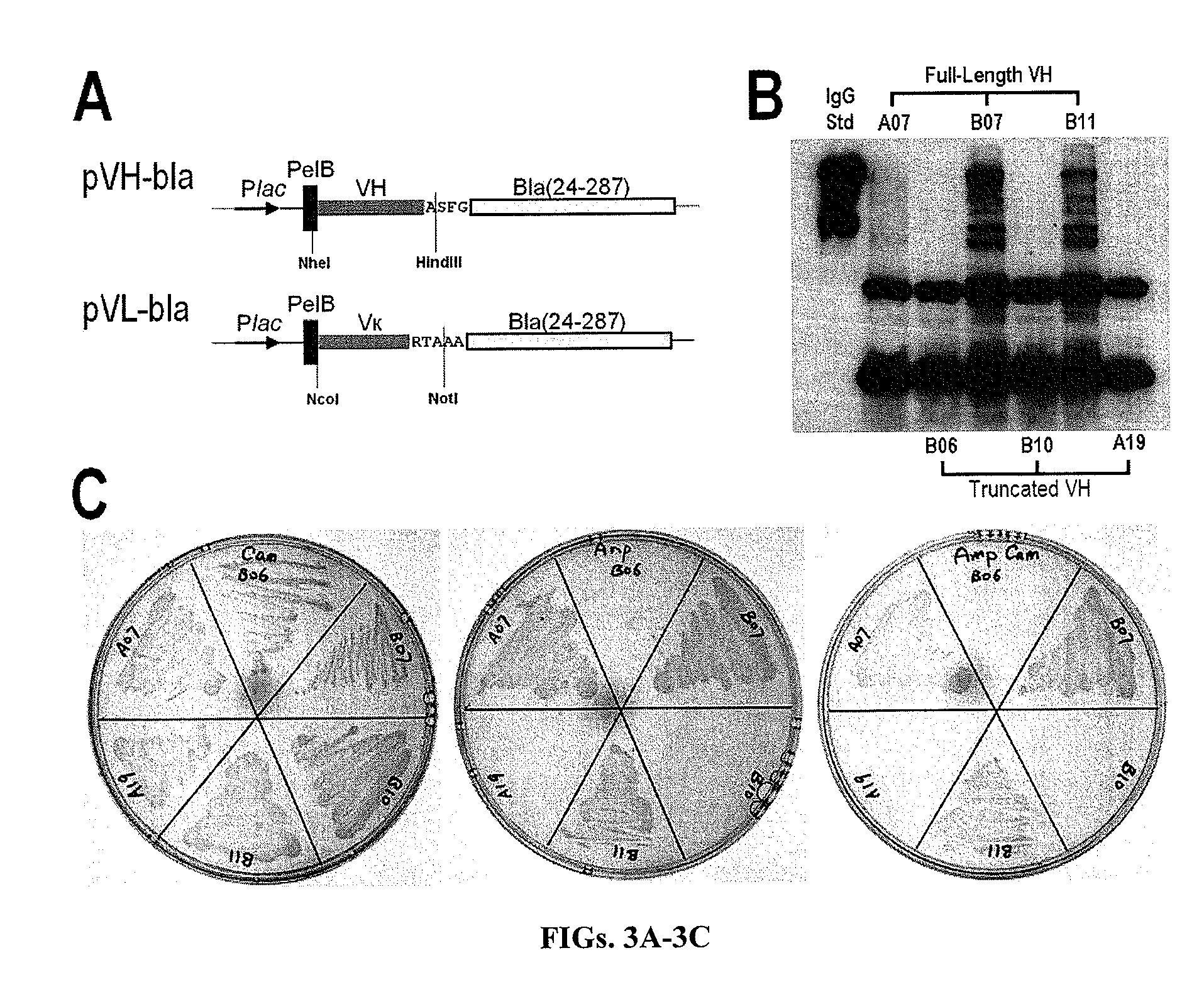 Methods for creating antibody libraries