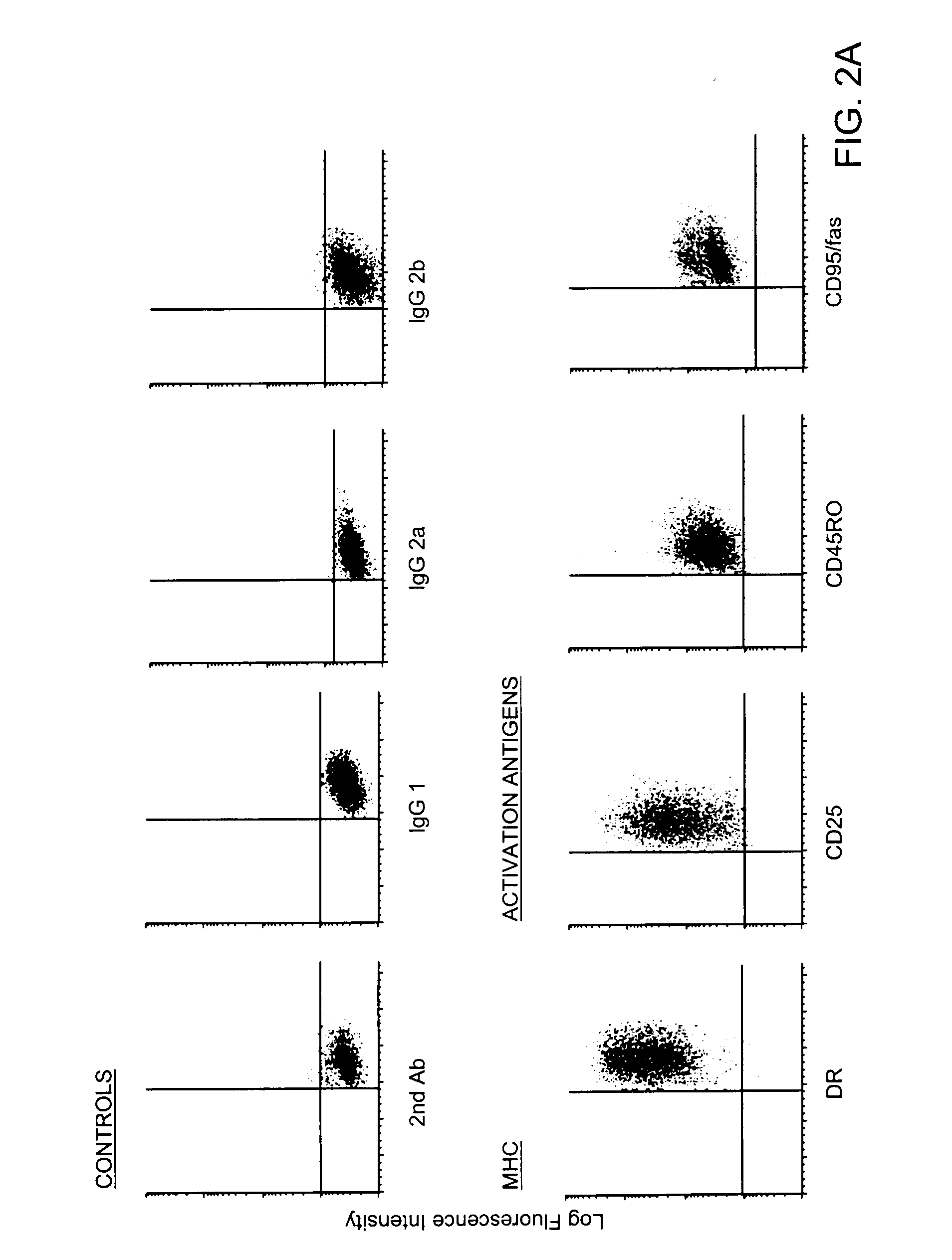 Method and compositions for obtaining mature dendritic cells
