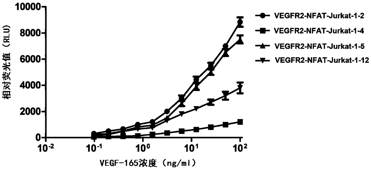 Method for measuring activity of anti-VEGF (Vascular Endothelial Growth Factor) antibody, and application thereof
