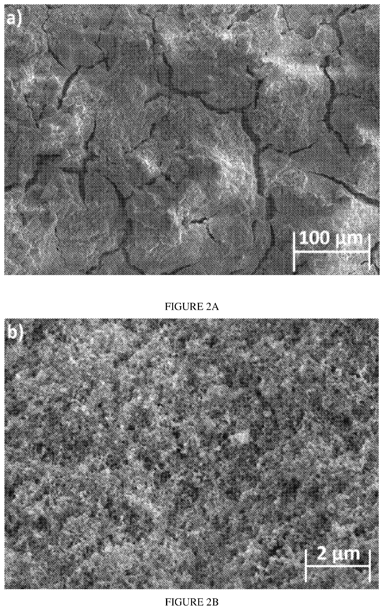 Hydroxyapatite based composition and film thereof comprising inorganic fullerene-like nanoparticles or inorganic nanotubes