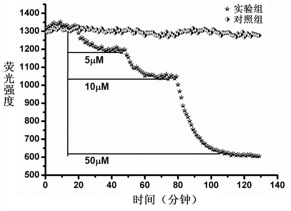 Aptamer for identifying zeatin through specifity, and screening method and application of aptamer
