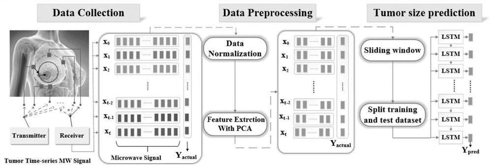 Ultra-wideband microwave breast tumor size prediction system based on long short-term memory