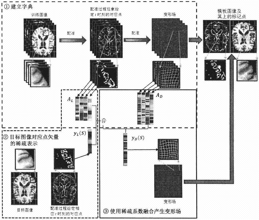 Fast and Accurate Nonlinear Registration of Stereo Medical Images Based on Sparse Representation