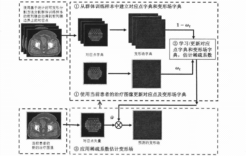 Fast and Accurate Nonlinear Registration of Stereo Medical Images Based on Sparse Representation