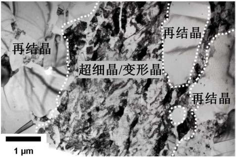 Preparation method of heterogeneous-layered-structure 304L stainless steel