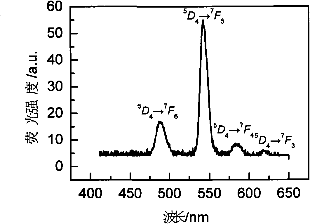 Rare-earth doped oxyfluoride tellurate scintillation glass and preparation method thereof
