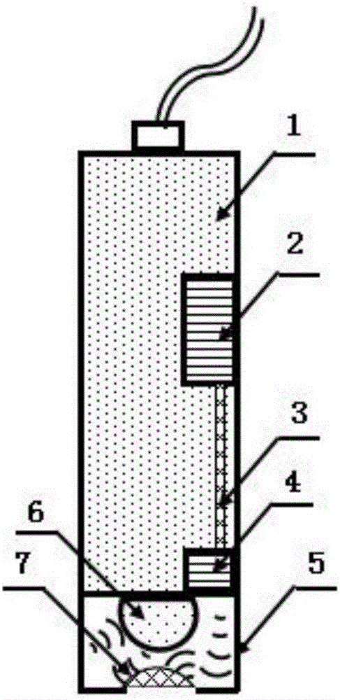 Ph gauge self-cleaning device based on ultrasonic technology