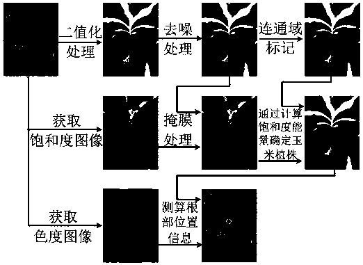 Corn seedling stage mechanical weeding identification method and device based on machine vision
