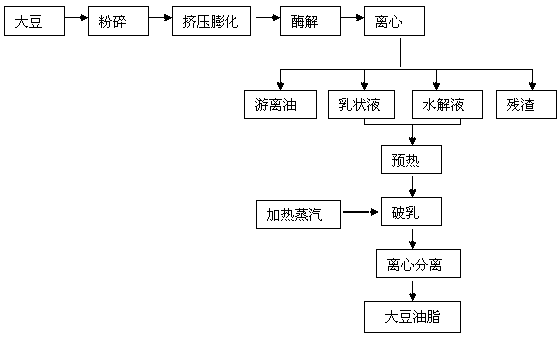 High-pressure steam emulsion breaking method for aqueous enzymatic extraction of soybean oil