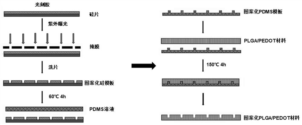 A conductive nerve repair material with micro-nano topological structure and its preparation method and application