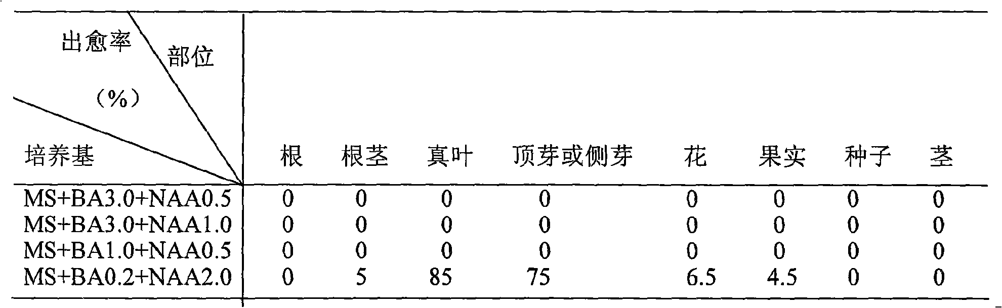 Rubia yunnanensis tissue culture method