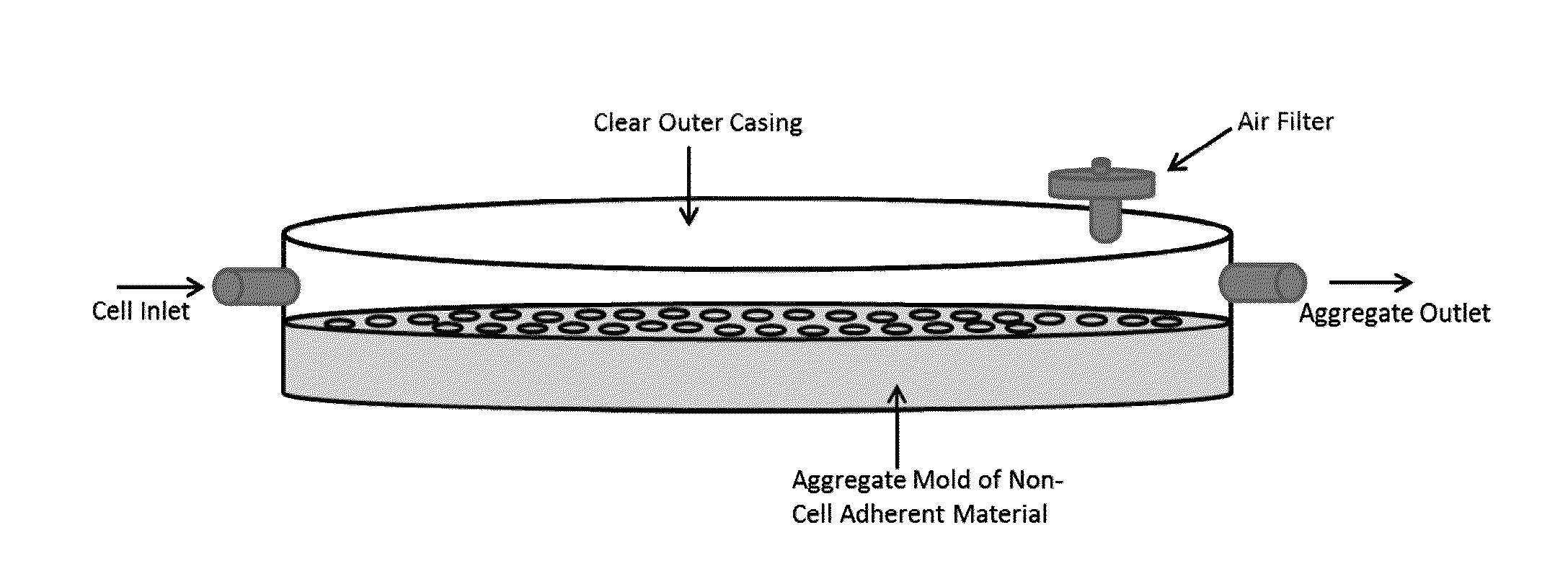 Formation of cell aggregates