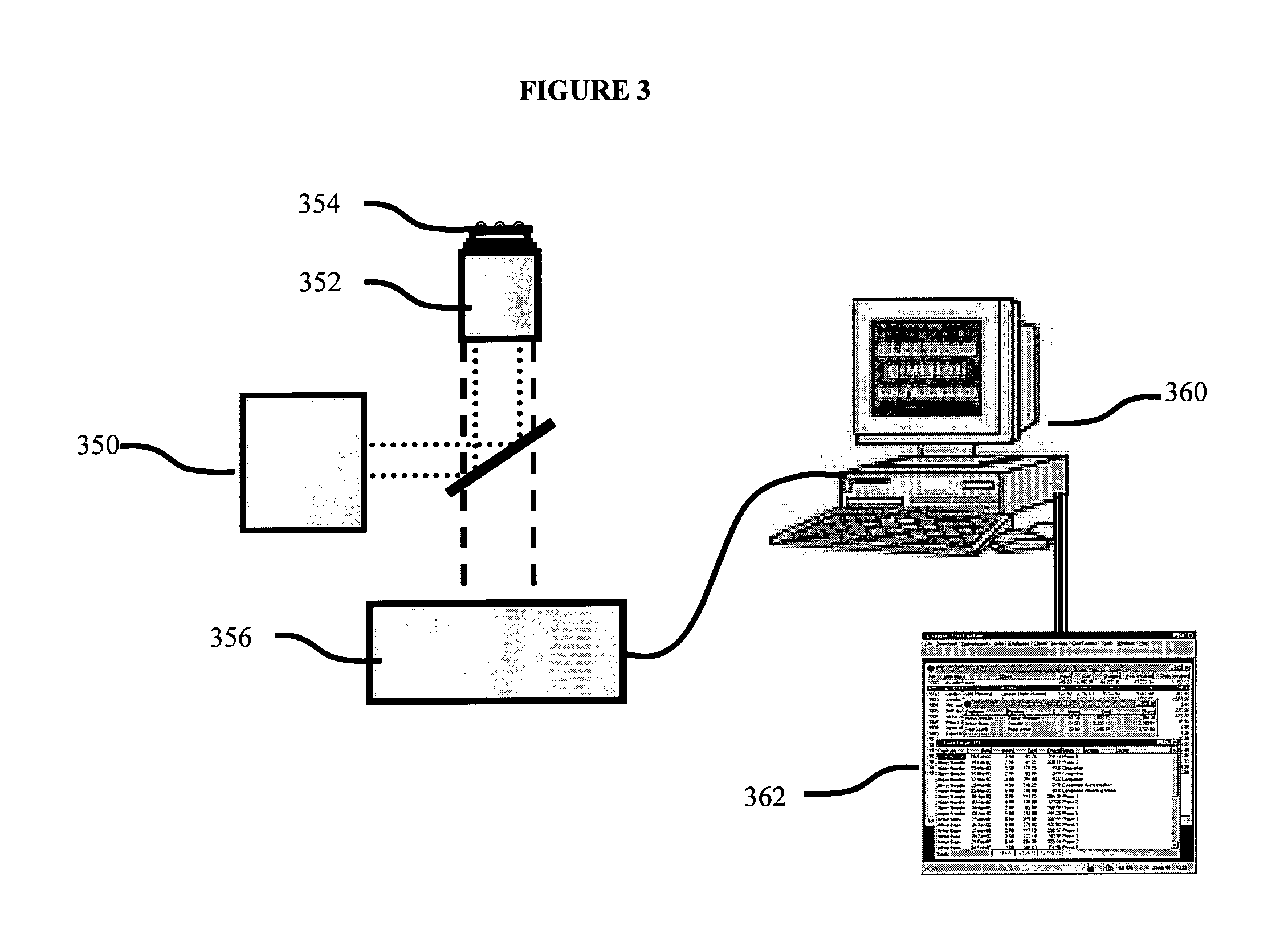 Systems and methods for measuring translation activity in viable cells