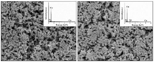 A method to improve the enhanced Raman scattering performance of nanoporous metal surface