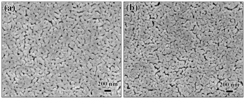 A method to improve the enhanced Raman scattering performance of nanoporous metal surface
