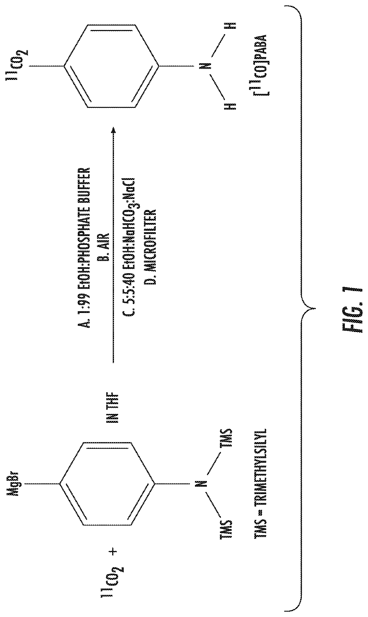 Radiolabeled paba and derivatives thereof for use as functional renal imaging agents