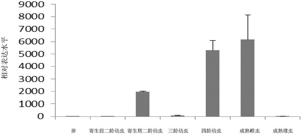 Heterodera avenae derived Ha-18764 protein and coding gene and application thereof