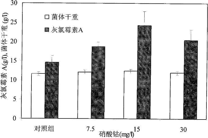 The method of adding metal ions to increase the output of griseovirmycin a