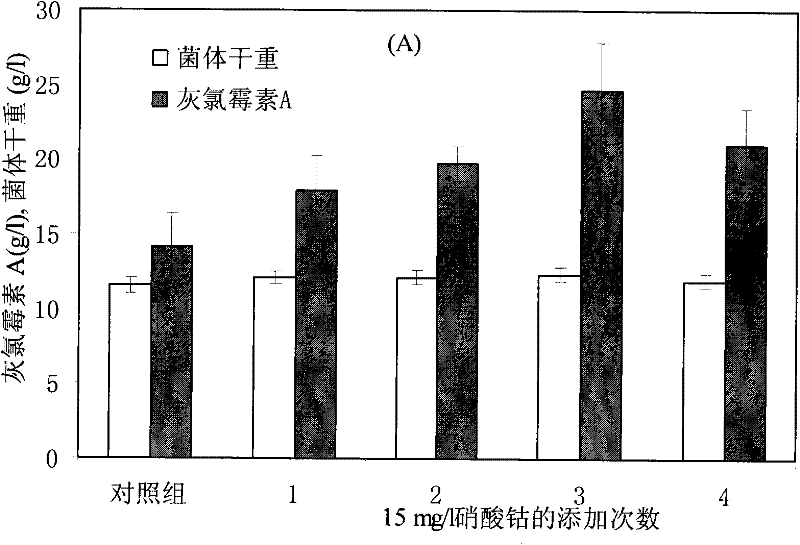 The method of adding metal ions to increase the output of griseovirmycin a