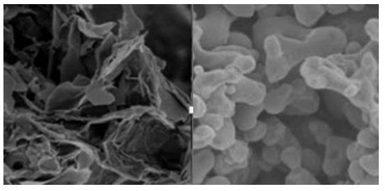 Preparation method of sewage treatment catalyst and application of sewage treatment catalyst in sewage treatment