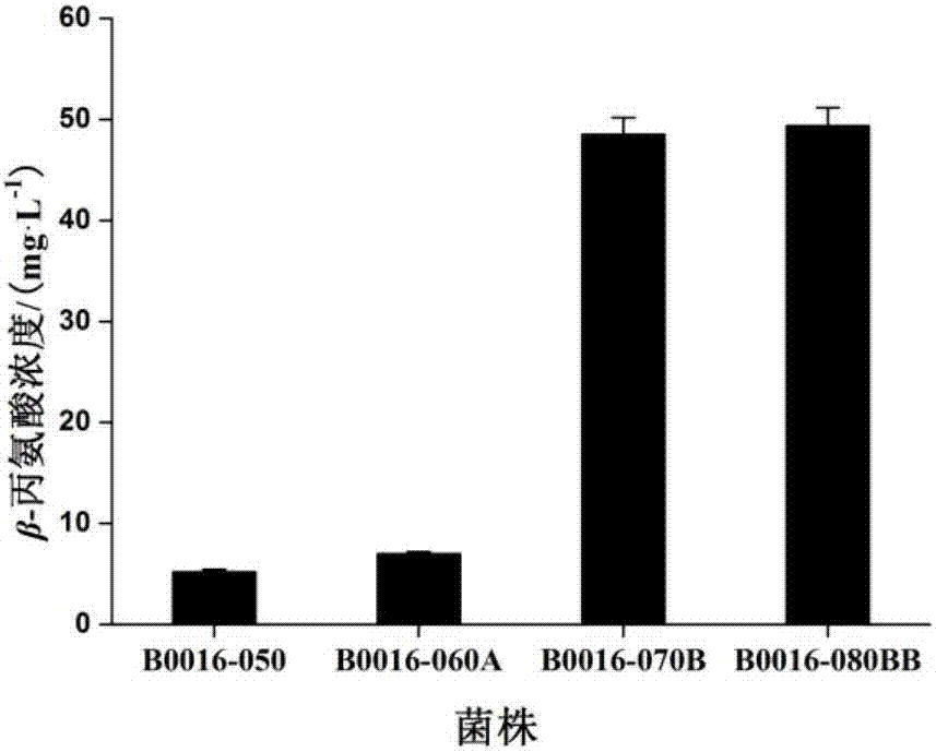 Method for constructing recombinant escherichia coli and method for producing beta-alanine by fermentation