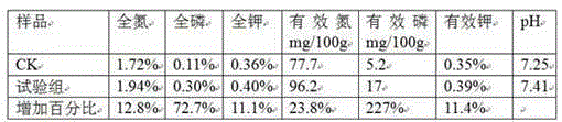 Fertilizer Compound Bacteria