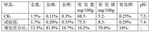 Fertilizer Compound Bacteria