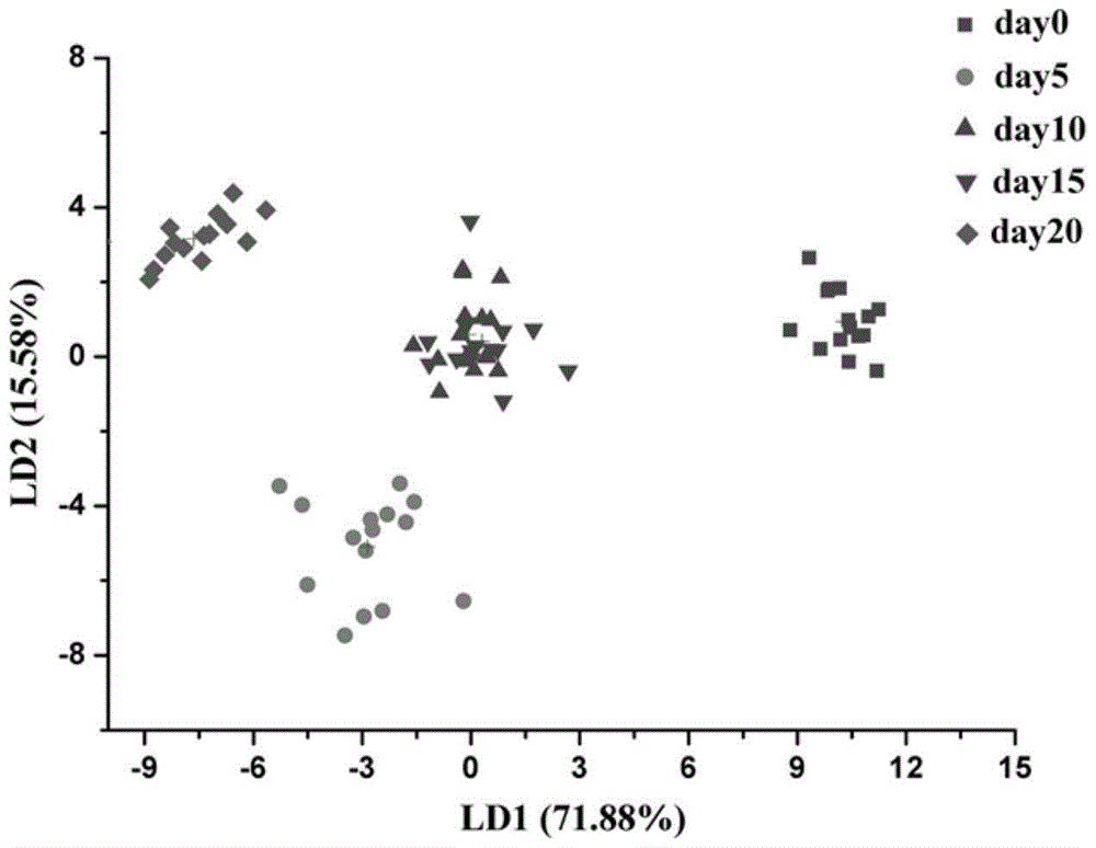 Rapid nondestructive distinguishing method of Chinese walnuts with different fresh degrees based on electronic nose