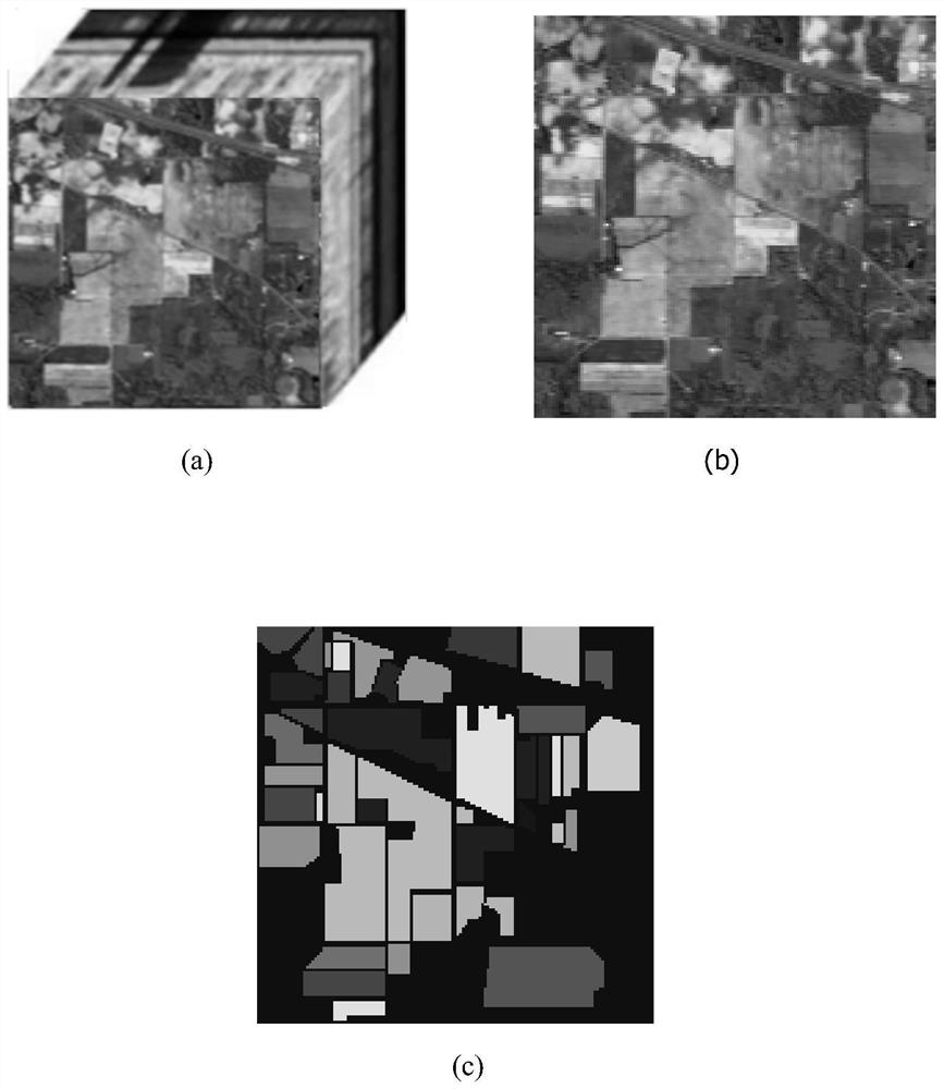 Hyperspectral image classification method based on double-branch convolution auto-encoder