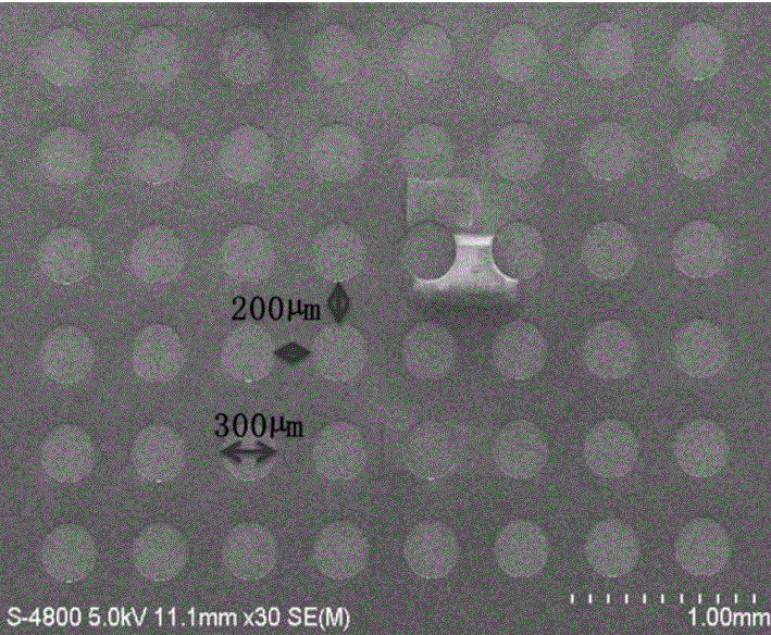 Detection method of porous silicon photonic crystal biochip